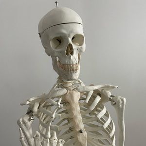 Meet your Posher, Max